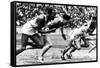 James Cleveland "Jesse" Owens, American Athlete at Departure of 100M Race at Olympic Games in 1936-null-Framed Stretched Canvas