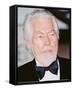 James Coburn-null-Framed Stretched Canvas