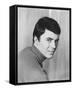 James Darren-null-Framed Stretched Canvas