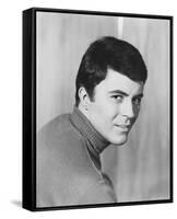 James Darren-null-Framed Stretched Canvas