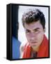 James Darren-null-Framed Stretched Canvas