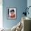 James Darren-null-Framed Photo displayed on a wall