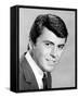 James Darren-null-Framed Stretched Canvas