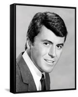 James Darren-null-Framed Stretched Canvas