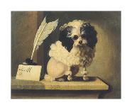 Poodle-James De Lamond-Premium Giclee Print