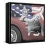 James Dean Flag with Border-Jerry Michaels-Framed Stretched Canvas