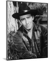 James Drury-null-Mounted Photo