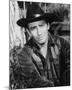 James Drury-null-Mounted Photo