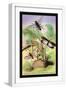 White Frame