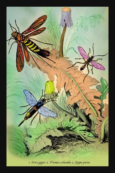Art Print, , large