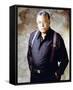 James Earl Jones-null-Framed Stretched Canvas