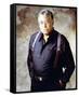 James Earl Jones-null-Framed Stretched Canvas