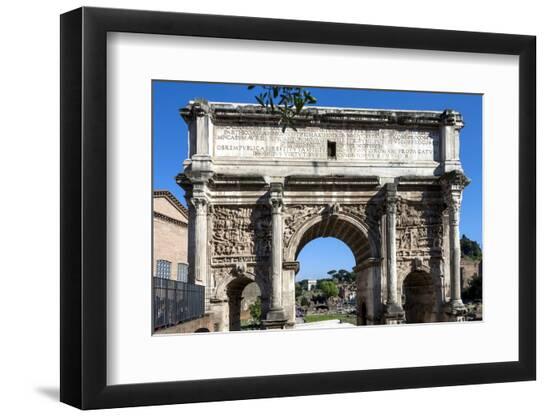 Premium Photographic Print, , large