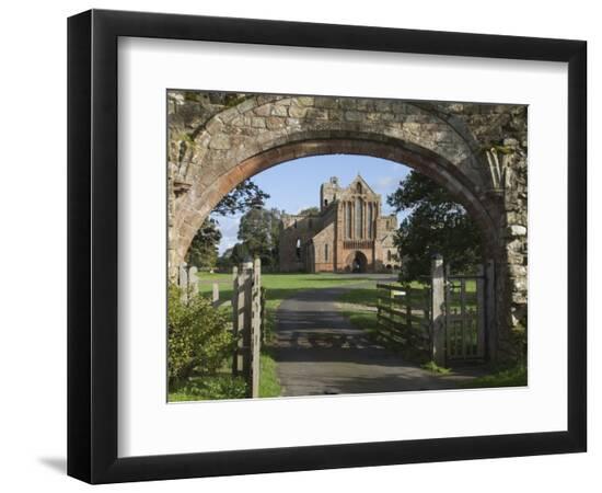 Photographic Print, , large