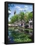 Essential Black