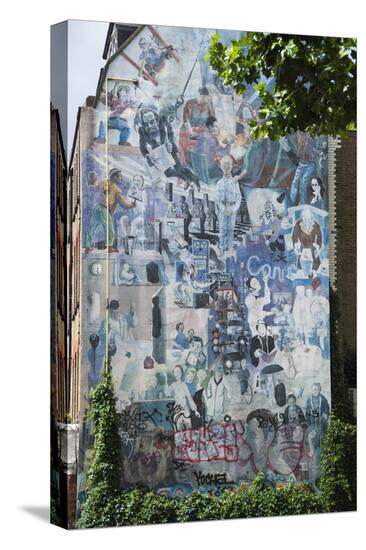 Stretched Canvas Print, , large