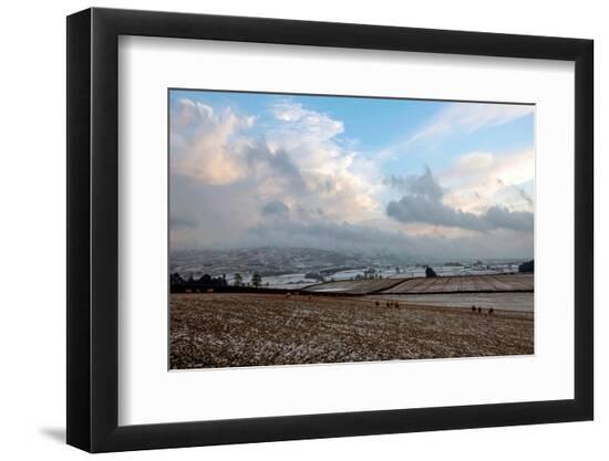 Premium Photographic Print, , large