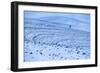 James Engerbretson Goes For A Cold Early-Winter Run On A Seasonally-Closed Farm Road, Moscow, Idaho-Ben Herndon-Framed Photographic Print