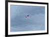 James' Flamingo in Flight Against a Cloudy Dramatic Sky-Alex Saberi-Framed Photographic Print