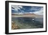 James Flamingos Feeding in Laguna Canapa-Alex Saberi-Framed Photographic Print