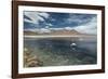 James Flamingos Feeding in Laguna Canapa-Alex Saberi-Framed Photographic Print