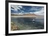 James Flamingos Feeding in Laguna Canapa-Alex Saberi-Framed Photographic Print