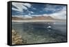 James Flamingos Feeding in Laguna Canapa-Alex Saberi-Framed Stretched Canvas