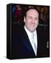 James Gandolfini-null-Framed Stretched Canvas