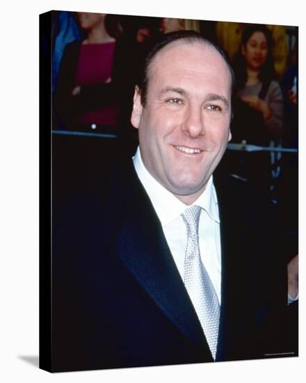 James Gandolfini-null-Stretched Canvas