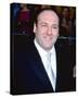 James Gandolfini-null-Stretched Canvas