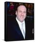 James Gandolfini-null-Framed Stretched Canvas