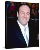 James Gandolfini-null-Stretched Canvas