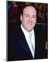 James Gandolfini-null-Mounted Photo