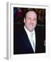 James Gandolfini-null-Framed Photo