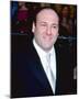 James Gandolfini-null-Mounted Photo