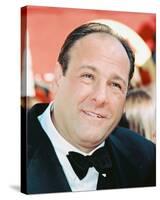 James Gandolfini-null-Stretched Canvas