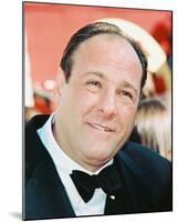 James Gandolfini-null-Mounted Photo