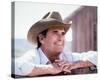 James Garner, Murphy's Romance (1985)-null-Stretched Canvas