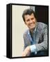 James Garner-null-Framed Stretched Canvas