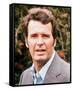 James Garner-null-Framed Stretched Canvas