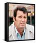 James Garner-null-Framed Stretched Canvas