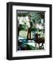 James Garner-null-Framed Photo