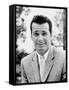 James Garner-null-Framed Stretched Canvas