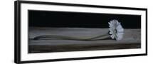 Black Frame