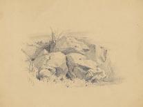 Rocks, 1839-James Goodwin Clonney-Framed Giclee Print