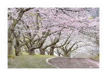 Blossom Hill-James Gordon-Framed Giclee Print