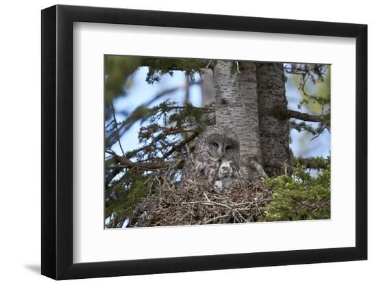 Premium Photographic Print, , large
