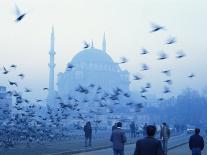 Laleli Mosque, Istanbul, Turkey, Europe, Eurasia-James Green-Photographic Print