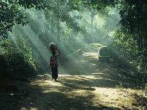 Woman Carrying Coconuts to Market, Peliatan, Bali, Indonesia, Southeast Asia-James Green-Photographic Print