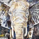 Elephants Gaze-James Grey-Art Print